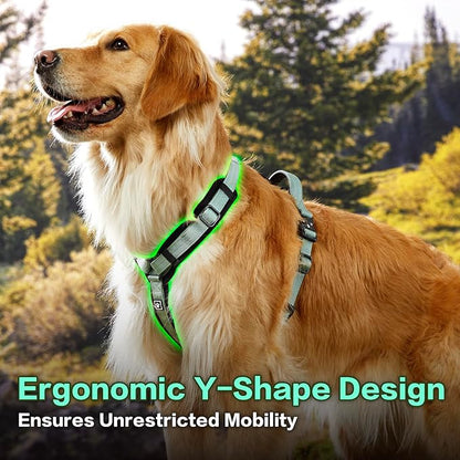 PawsPassion Dog Harness for Small Dogs, No Pull Dog Harness Easy Walk with Metal Hardware, Ergonomic Y-Shaped Design, Soft Padding, Padded Handle, Durable High-Tensile Nylon (Seabreeze, S)