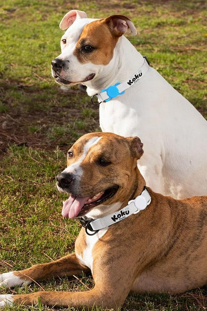 Dog Air Tag Holder (3-Pack) | Apple Air Tag GPS Tracker for Dogs | Airtag Dog Collar Holder | Airtag Holder for Dog Collar | Air Tag Holders | Sky Light Blue, White & Pink