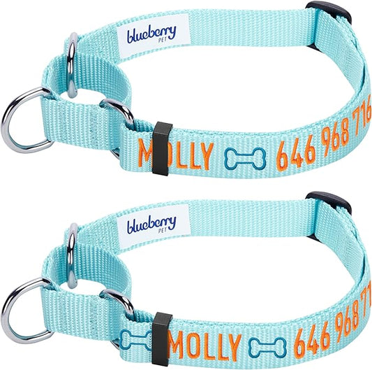 Blueberry Pet Essentials Personalized Martingale Safety Training Dog Collar, Mint Blue, Medium, Adjustable Customized ID Collars for Dogs Embroidered with Pet Name & Phone Number