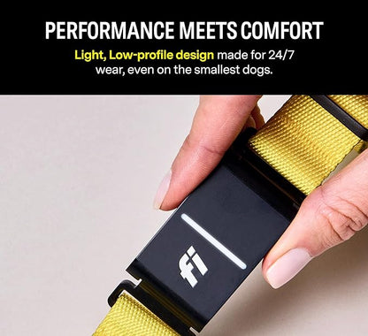 Fi Series 3 Smart Dog Collar - GPS Dog Tracker and Activity & Fitness Monitor, Waterproof, LED Light, Escape Alerts, Nationwide Coverage [Free 6 Month Membership] (Blue, Small)