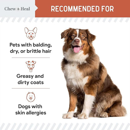 Salmon Oil for Dogs - Soft Chew Omega Treats for Skin and Coat - Fish Oil Blend of Essential Fatty Acids, Omega 3 and 6, Vitamins, Antioxidants and Minerals - Made in USA (180 Chews, Salmon)