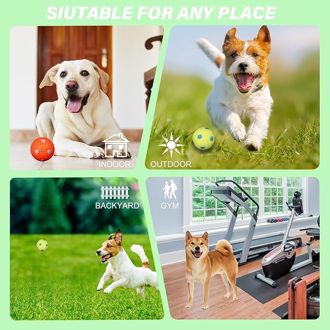Automatic Dog Ball Launcher for Small to Medium Dogs, Interactive Pet Toy with Balls (Purple)