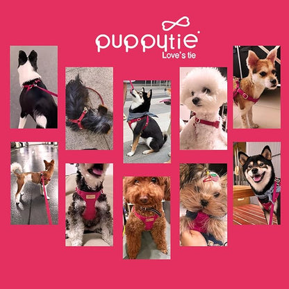 Puppytie No Pull XXS Puppy Harness with Multifunction Dog Leash,Soft Adjustable No Choke Escape Proof Pet Harness Vest,red,XXS
