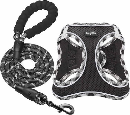 haapaw Dog Harness with Leash Set, No Pull Adjustable Reflective Step-in Puppy Harness with Thickened Padded Vest for Extra-Small/Small Medium Dogs