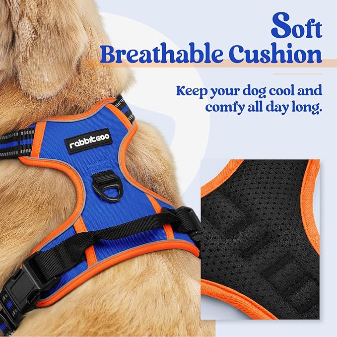 rabbitgoo Dog Harness No Pull with 2 Leash Clips, Adjustable Soft Padded, Reflective Oxford No Choke Pet Vest with Easy Control Handle for Small Dogs, Blue & Orange, S