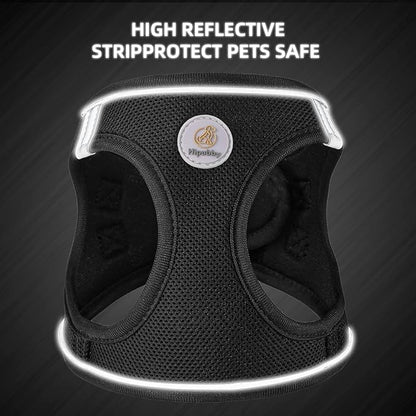 Dog Harness and Leash Set, No Pull Soft Mesh Puppy Harness for Small Medium Dogs, Cats - Step in Reflective Breathable Lightweight Vest Harness for Walking, Training - Black, M