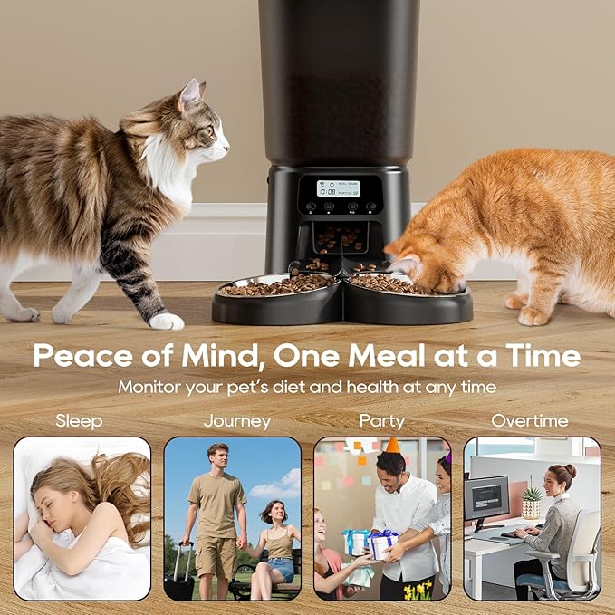 Automatic Cat Feeder for 2 Cats, 6L Timed Cat Dry Food Dispenser Dog Feeder up to 6 Meals & 30 Portions per Day,10S Voice Record,Flexible Schedule Timer Pet Feeder for Small Dogs, Black