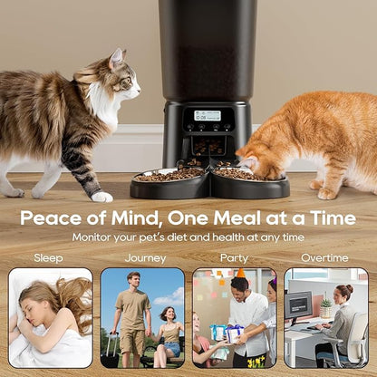 Automatic Cat Feeder for 2 Cats, 6L Timed Cat Dry Food Dispenser Dog Feeder up to 6 Meals & 30 Portions per Day,10S Voice Record,Flexible Schedule Timer Pet Feeder for Small Dogs, Black