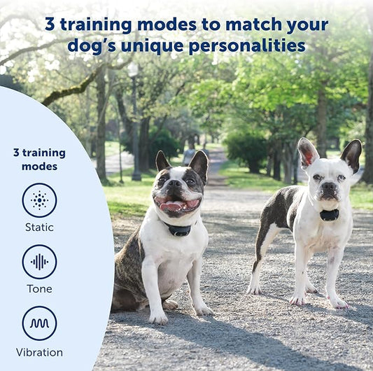 PetSafe Add-A-Dog Remote Training Collar – Perfect for Small, Medium and Large Dogs – Choose from Tone, Vibration, or 15 Levels of Static Stimulation – Waterproof and Durable – Rechargeable