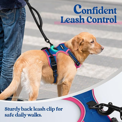 rabbitgoo Dog Harness No Pull with 2 Leash Clips, Adjustable Soft Padded, Reflective Oxford No Choke Pet Vest with Easy Control Handle for Large Dogs, Blue & Hot Pink, S