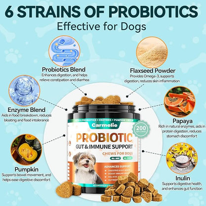Probiotics for Dogs, 200 Soft Chews Digestive Probiotics & Enzymes for Gut Health with Pumpkin, Fibre for Dogs Anti Diarrhea, Upset Stomach, Gas Relief, Itchy Skin & Immune Support (Chicken)
