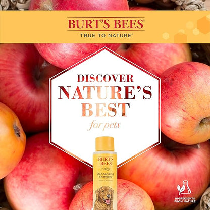 Burt's Bees for Pets Deodorizing Dog Shampoo with Apple and Rosemary, 95% Natural Origin Formulas, Dog Deodorizing Shampoo - Gentle Dog Shampoo, Best Dog Shampoo for Smelly Dogs, 16 oz