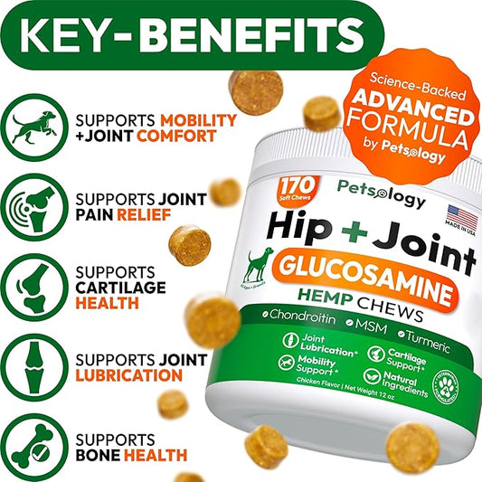 Hemp Hip and Joint Supplement for Dogs - Glucosamine for Dogs - 170 Mobility Support Chews - Advanced Joint Pain Relief Treats with Chondroitin, MSM, Turmeric - Large & Small Breeds - Made in USA