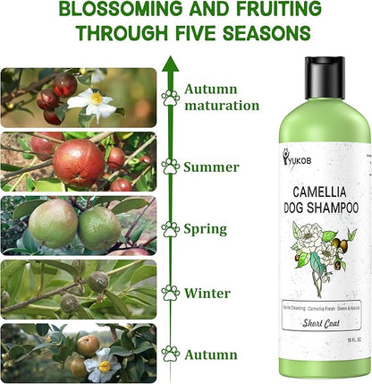 Dog Shampoo and Conditioner for Allergies & Itching -Natural Camellia Oil Pet Shampoo for Sensitive Skin, Deshedding, Smooth Coat for Smelly Dogs,|Brightening Luster | 16 oz