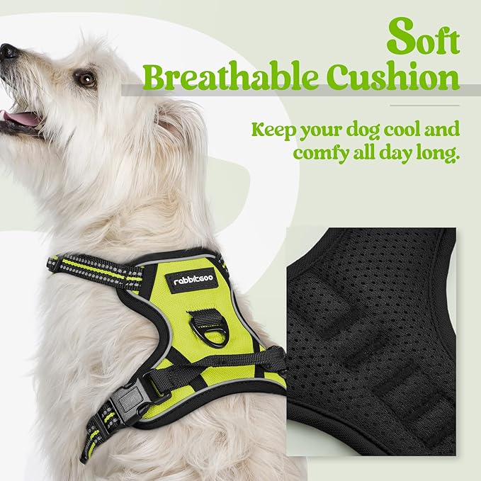 rabbitgoo Dog Harness No Pull with 2 Leash Clips, Adjustable Soft Padded, Reflective Oxford No Choke Pet Vest with Easy Control Handle for Puppy, Green, XS