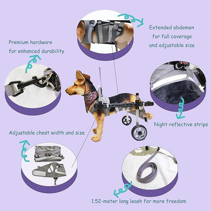 Dog Wheelchair,Lightweight Aluminum Frame with Handle,Extended Leg Straps,Includes Leash,Fits Pugs,French Bulldogs,and Schnauzers（Middle Size）/Beagle,Corgi,and Cocker Spaniel（Large Size）