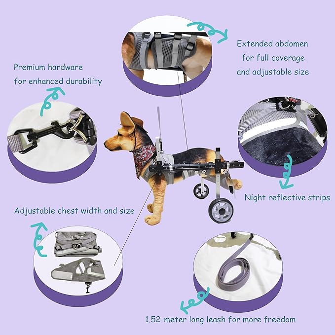 Dog Wheelchair,Lightweight Aluminum Frame with Handle,Extended Leg Straps,Includes Leash,Fits Pugs,French Bulldogs,and Schnauzers（Middle Size）/Beagle,Corgi,and Cocker Spaniel（Large Size）
