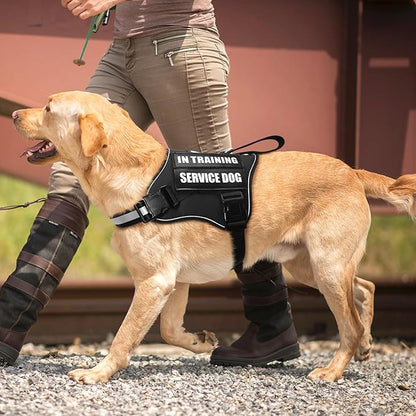 Service Dog Vest Harness and Leash Set+10 Patches,No Pull&Easy Walk Reflective Dog Harness with Soft Padded Handle for Training/Everyday,Fit Small/Medium/Large/Extra-Large Dogs (Black S)