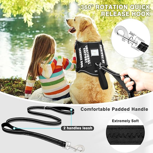 Service Dog Vest Harness and Leash Set+10 Patches,No Pull&Easy Walk Reflective Dog Harness with Soft Padded Handle for Training/Everyday,Fit Small/Medium/Large/Extra-Large Dogs(Black XL)