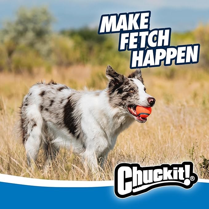 Chuckit! Ultra Ball & Launcher Bundle - Classic 26" with 2 Pack Medium (2.5") Bouncy Fetch Balls for Dogs 20-60 lbs, Dog Fetch Ball Thrower