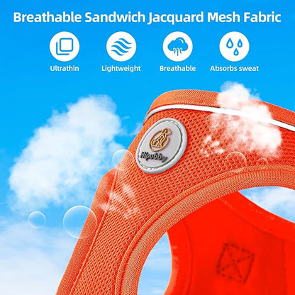 Dog Harness and Leash Set, No Pull Soft Mesh Puppy Harness for Small Medium Dogs, Cats - Step in Reflective Breathable Lightweight Vest Harness for Walking, Training - Orange, L