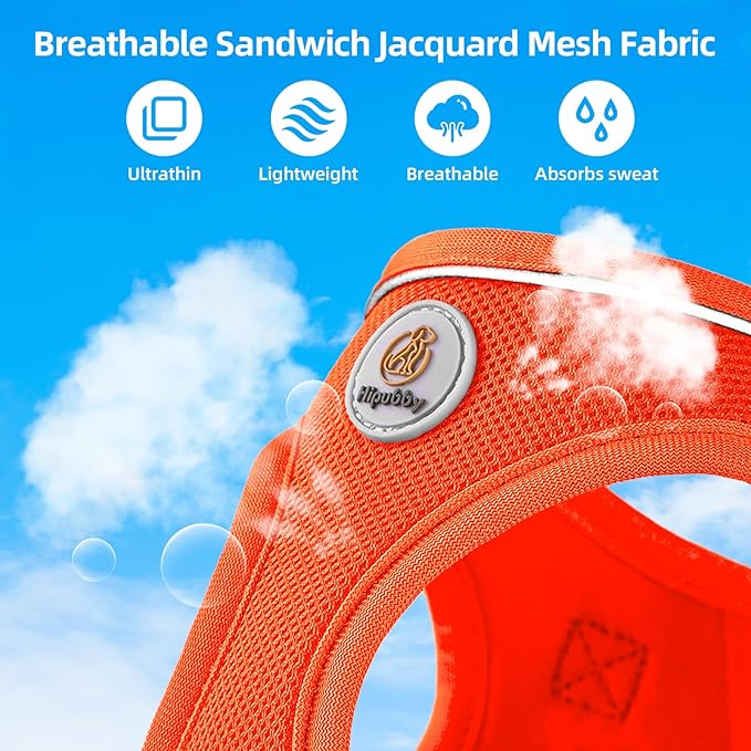 Dog Harness and Leash Set, No Pull Soft Mesh Puppy Harness for Small Medium Dogs, Cats - Step in Reflective Breathable Lightweight Vest Harness for Walking, Training - Orange, XS