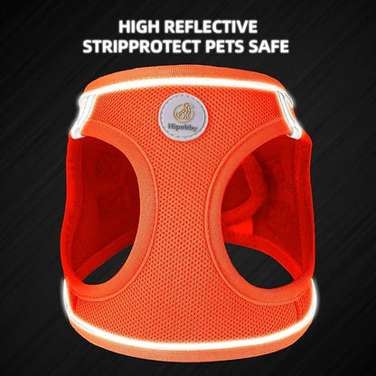 Dog Harness and Leash Set, No Pull Soft Mesh Puppy Harness for Small Medium Dogs, Cats - Step in Reflective Breathable Lightweight Vest Harness for Walking, Training - Orange, L