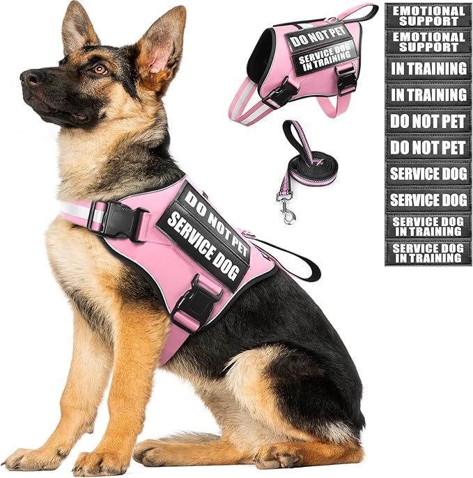 Service Dog Vest Harness and Leash Set+10 Patches,No Pull&Easy Walk Reflective Dog Harness with Soft Padded Handle for Training/Everyday,Fit Small/Medium/Large/Extra-Large Dogs (Pink XL)