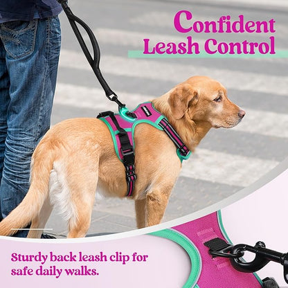 rabbitgoo Dog Harness No Pull with 2 Leash Clips, Adjustable Soft Padded, Reflective Oxford No Choke Pet Vest with Easy Control Handle for Large Dogs, Hot Pink & Turquoise, L