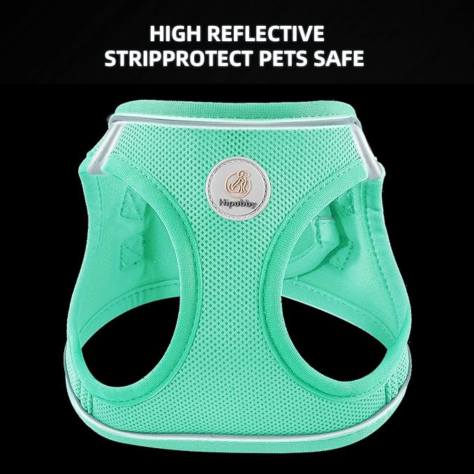 Dog Harness and Leash Set, No Pull Soft Mesh Puppy Harness for Small Medium Dogs, Cats - Step in Reflective Breathable Lightweight Vest Harness for Walking, Training - Green, XS