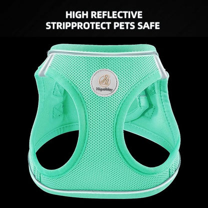 Dog Harness and Leash Set, No Pull Soft Mesh Puppy Harness for Small Medium Dogs, Cats - Step in Reflective Breathable Lightweight Vest Harness for Walking, Training - Green, XXS