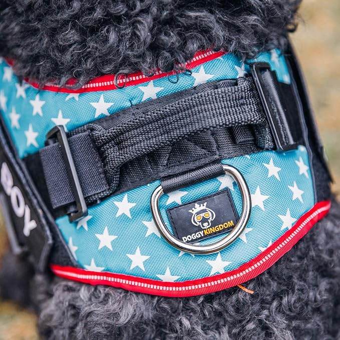 Personalized No-Pull Dog Harness with Name Patch, Adjustable, Reflective, Padded, Heavy Duty Pet Vest to Prevent Tugging, Pulling, or Choking, Training and Walking, Motorsport, XS