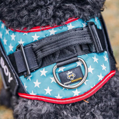 Personalized No-Pull Dog Harness with Name Patch, Adjustable, Reflective, Padded, Heavy Duty Pet Vest to Prevent Tugging, Pulling, or Choking, Training and Walking, Military Desert, S