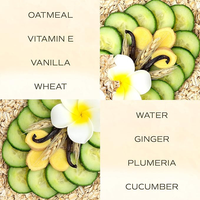 TropiClean SPA Lavish Dog Conditioner | Nourishing Conditioner For Dogs | Naturally Derived Salon Grade Ingredients | Made in the USA | 1 Gallon