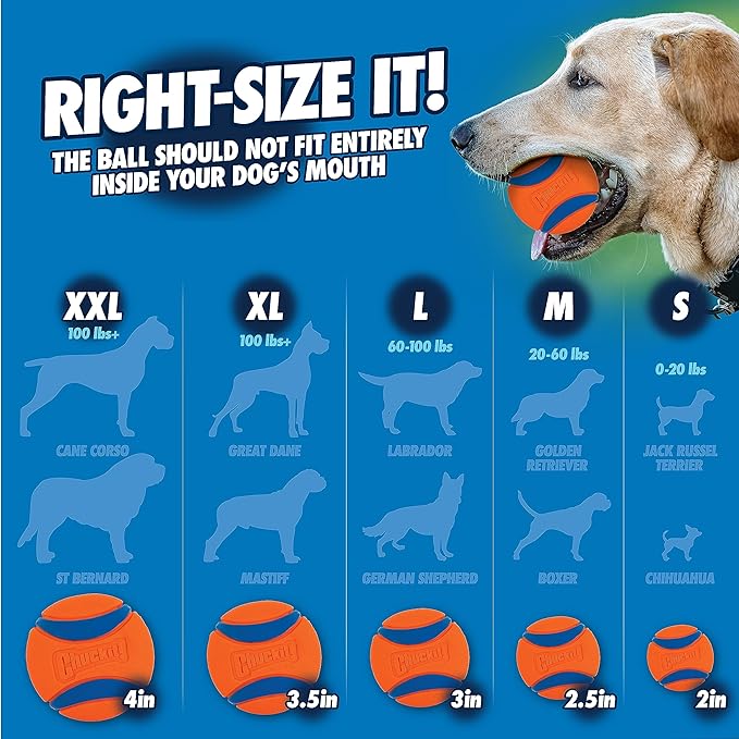 Chuckit! Sport 18M Dog Ball Launcher, 18" Length, Includes Medium Ball (2.5") For Dogs 20-60 Pounds
