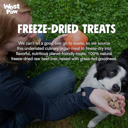 WEST PAW Freeze-Dried Raw All Natural Dog and Puppy Training Treats, Single Ingredient, Humanely Raised and Sustainably Sourced, Made in USA, Beef Liver, 1 Pack (2.5 oz)