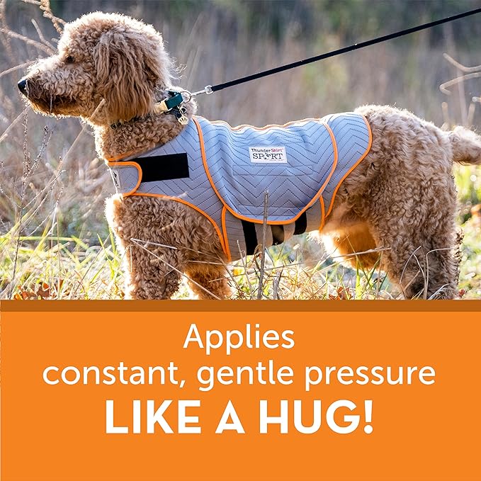 ThunderShirt for Dogs, X Small, Platinum Sport - Dog Anxiety Relief Calming Vest