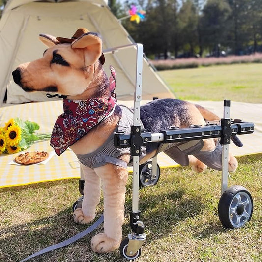 Dog Wheelchair,Lightweight Aluminum Frame with Handle,Extended Leg Straps,Includes Leash,Fits Pugs,French Bulldogs,and Schnauzers（Middle Size）/Beagle,Corgi,and Cocker Spaniel（Large Size）