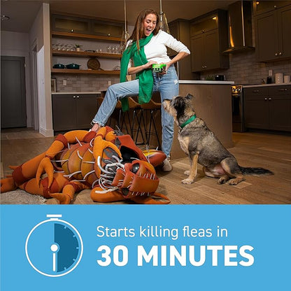 Capstar (Nitenpyram) Fast-Acting Oral Flea Treatment for Dogs 2-25 Lbs, Vet-Recommended Medication Tablets, Flea Tablets for Dogs Start Killing in 30 Minutes, 12 Doses