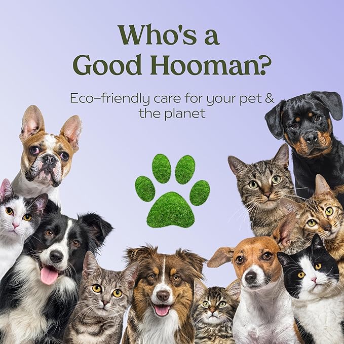 PAWFUME Dog Detangler Grooming Spray, Royal Lavender, 2-Pack – Keeps Pups Fresh All Day – Hypoallergenic, Alcohol-Free, Detangling & Moisturizing – Salon-Quality Dog Necessities for Coat & Fur Care