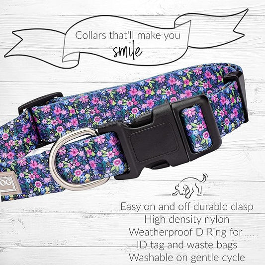 Lucky Love Dog, Comfortable, Soft, Cute Female Dog Collar for Small Dogs, Black & Purple Floral Print, Adjustable Nylon Collar, Primrose, Small