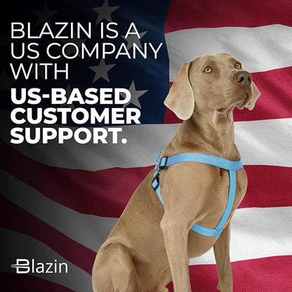 BLAZIN Reflective Dog Harness - 'Color Me Happy!' Adjustable Step-in Reflective Nylon Vest Harness - Neoprene Padded for Extra Comfort (Small, Blue)