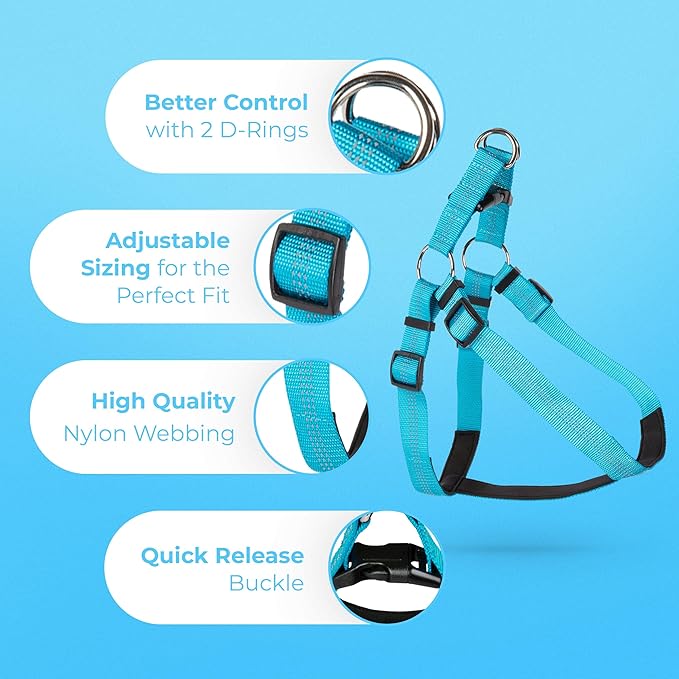 BLAZIN Reflective Dog Harness - 'Color Me Happy!' Adjustable Step-in Reflective Nylon Vest Harness - Neoprene Padded for Extra Comfort (Small, Blue)