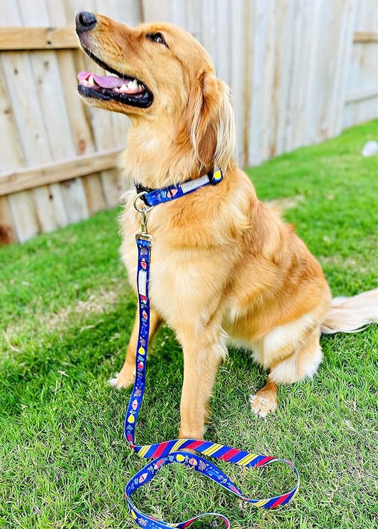 Lucky Love Dog Combo Set, Tropical Fish Dog Leash and Collar Set, Blue Color Matching Dog Collar & Leash, Part of Purchase Donated to Rescue (Medium, Mackey, Combo)